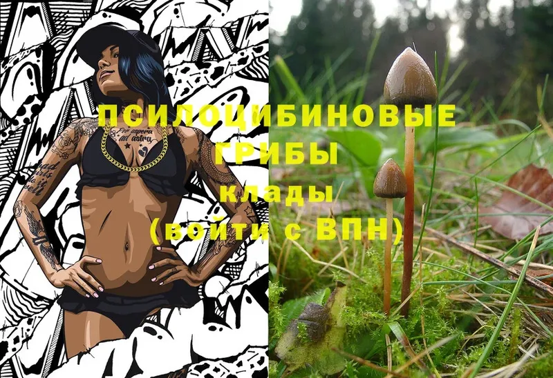 МЕГА ONION  дарк нет формула  Псилоцибиновые грибы Magic Shrooms  Ясногорск 